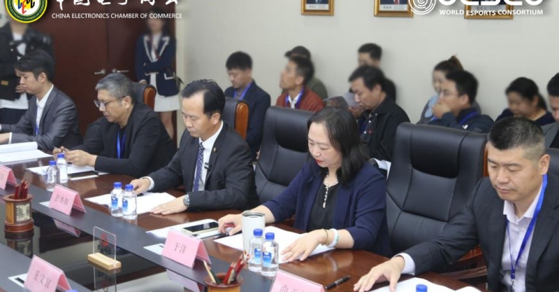 Digital Sports and Esports Professional Committee