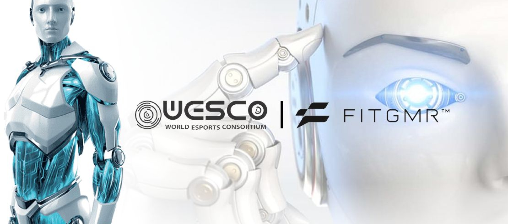WESCO Partners with FITGMR 